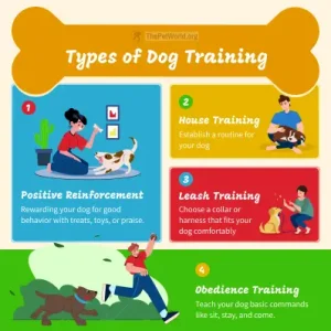 Dog Training Tips