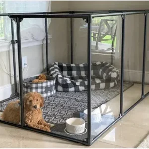 How to Crate Train a Dog - ThePetWorld