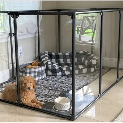 How to Crate Train a Dog - ThePetWorld