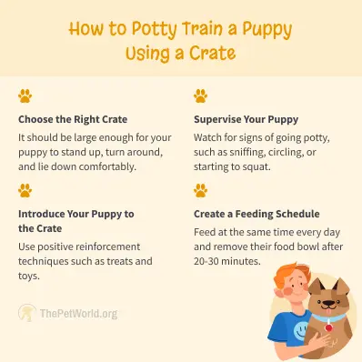 How To Potty Train A Puppy - ThePetWorld