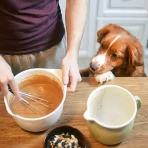 Homemade Dog Food Recipes - ThePetWorld