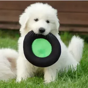 Puppy Dog Training - ThePetWorld