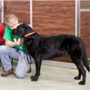Therapy Dog Training - ThePetWorld