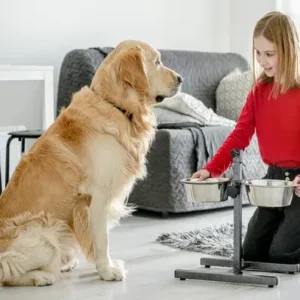 Best Wet Dog Food - ThePetWorld
