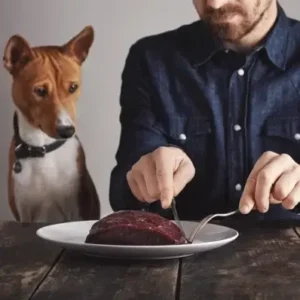 How Long Can Dogs Go Without Food - ThePetWorld