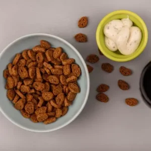 Is Cesar a Good Wet Dog Food - ThePetWorld